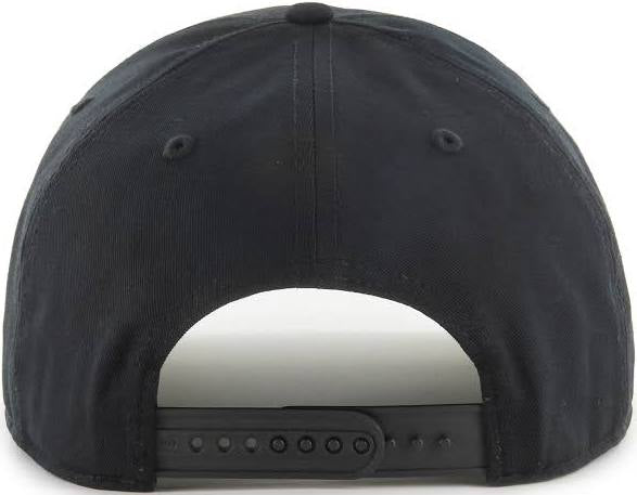 Panthers 47 Brand Hat