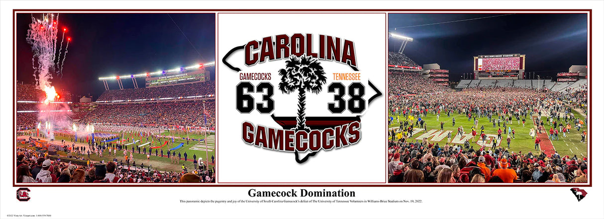 Gamecocks Vista Print 2022