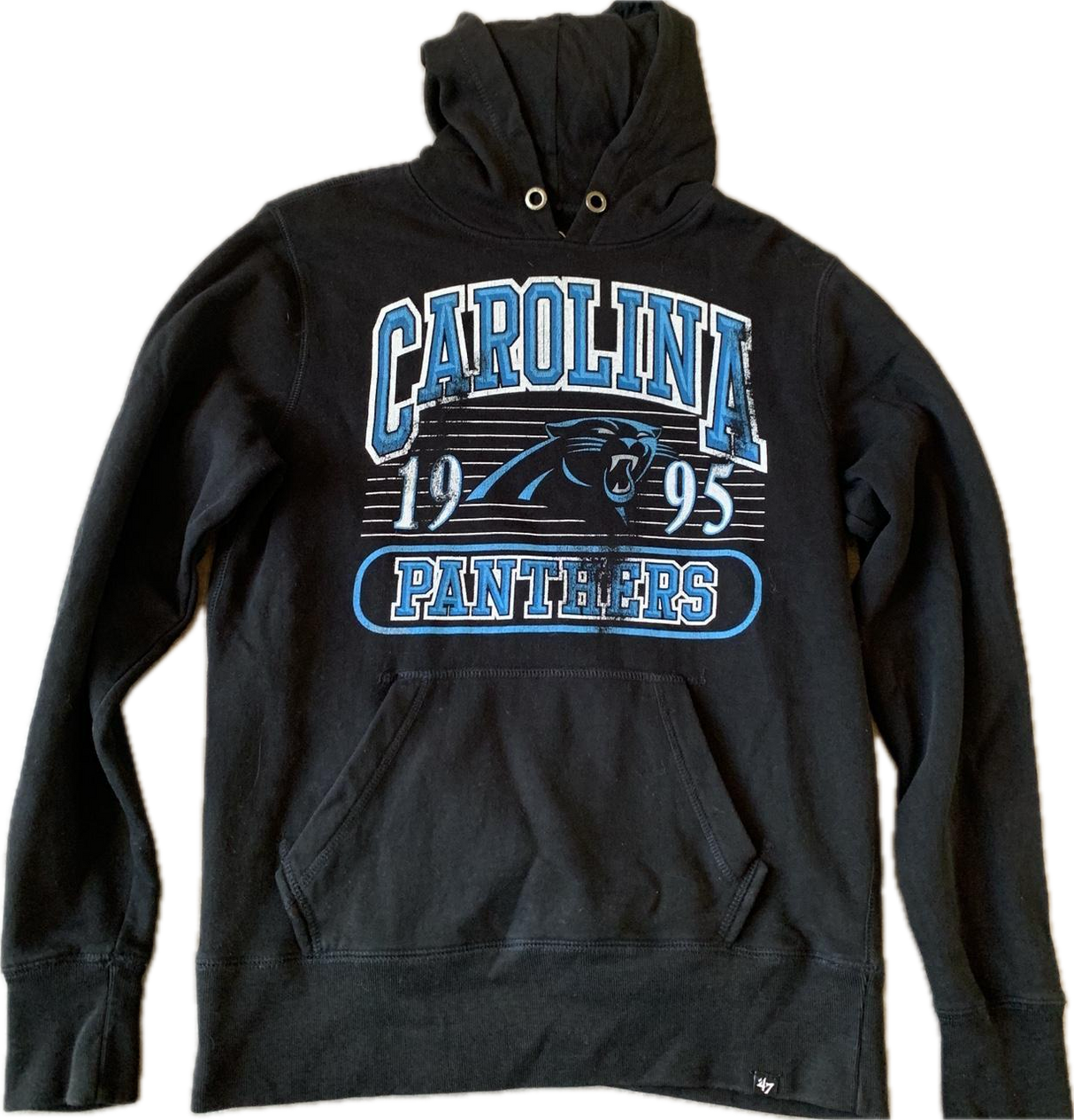 Panthers 47 Hoodie