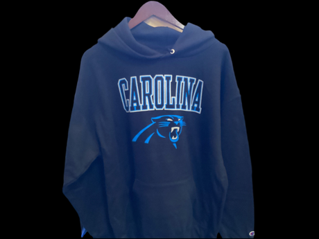 Panthers Champion Hoodie
