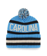 Panthers 47 Brand Beanie