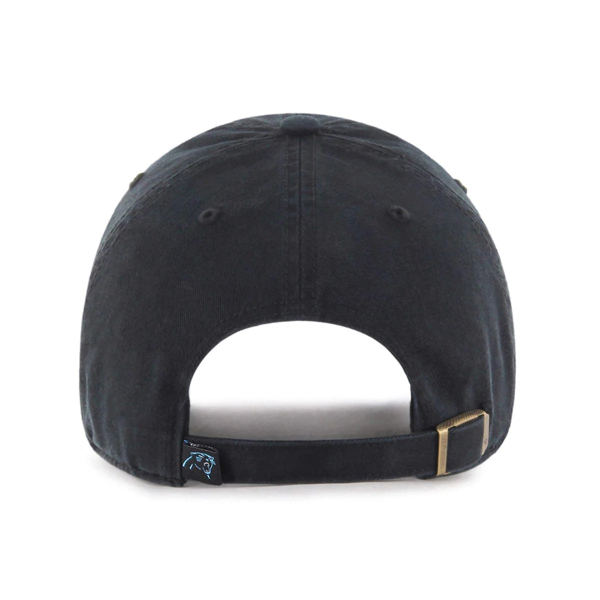 Panthers 47 Brand Hat