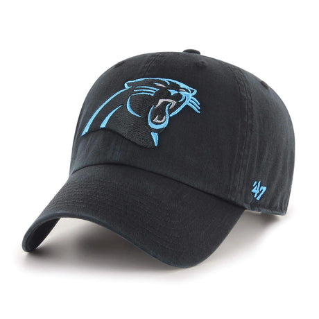 Panthers 47 Brand Hat