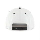Panthers 47 Brand Hat