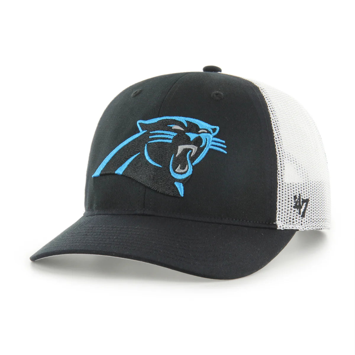 Panthers New Era Hat