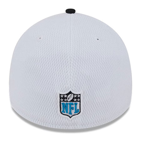 Panthers New Era Hat