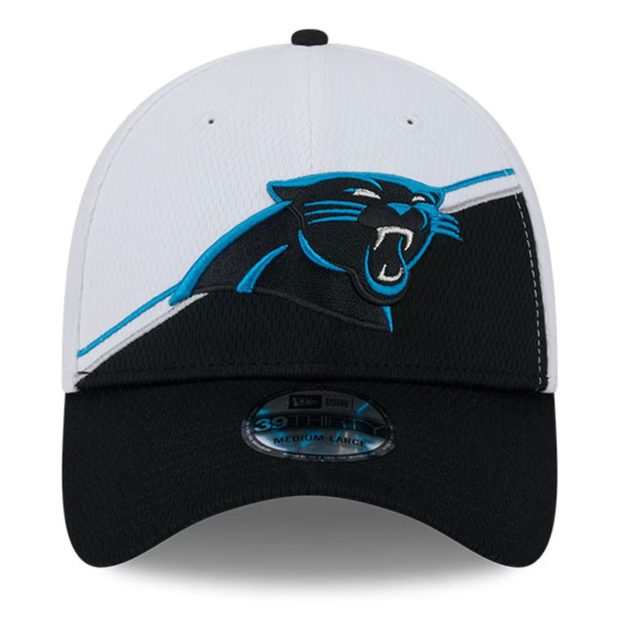Panthers New Era Hat
