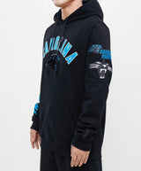 Panthers Pro Standard Hoodie